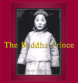 Buddha Prince